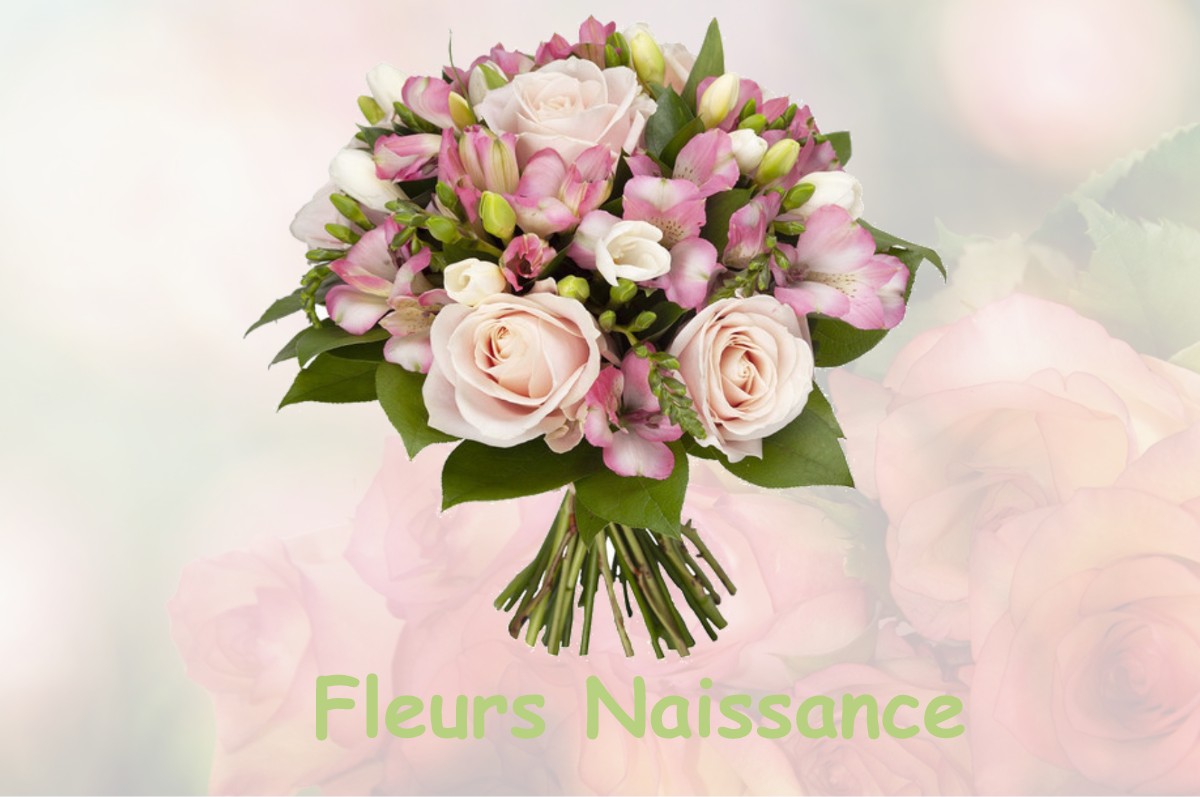 fleurs naissance SAINT-NAZAIRE-EN-ROYANS