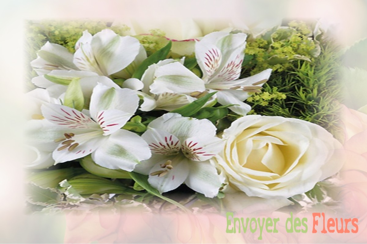 envoyer des fleurs à à SAINT-NAZAIRE-EN-ROYANS